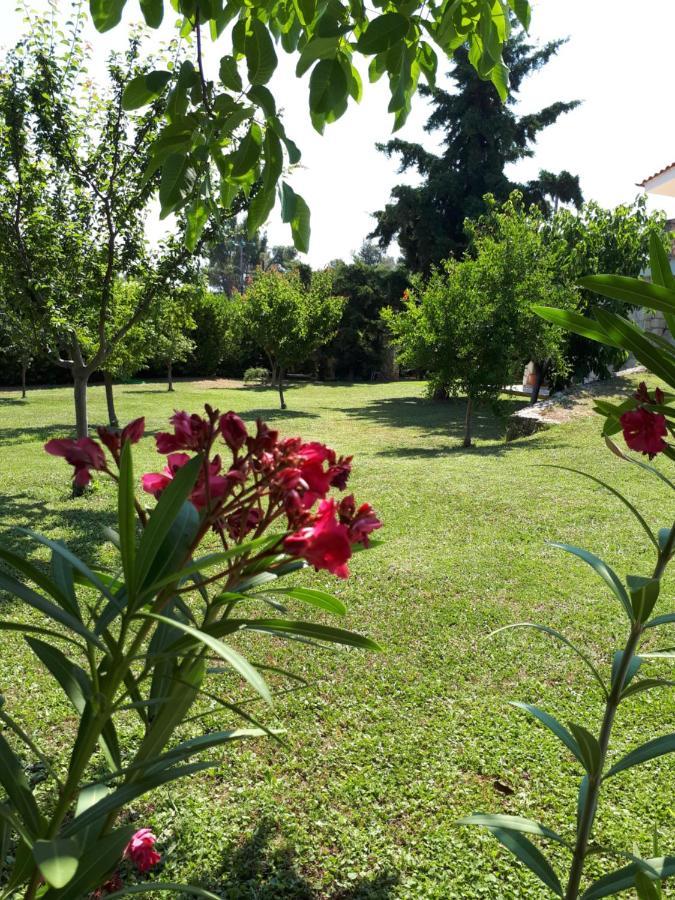 Villa George Áfitos Extérieur photo